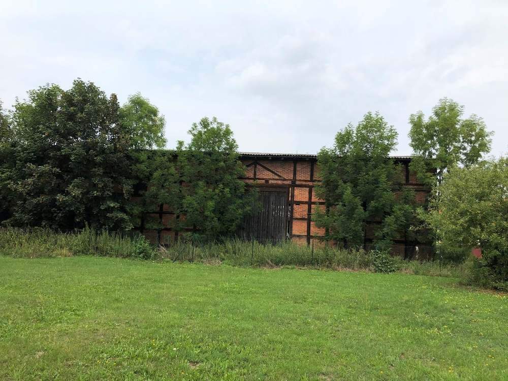 Bild 11