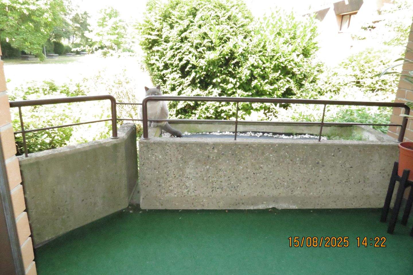 Bild 8