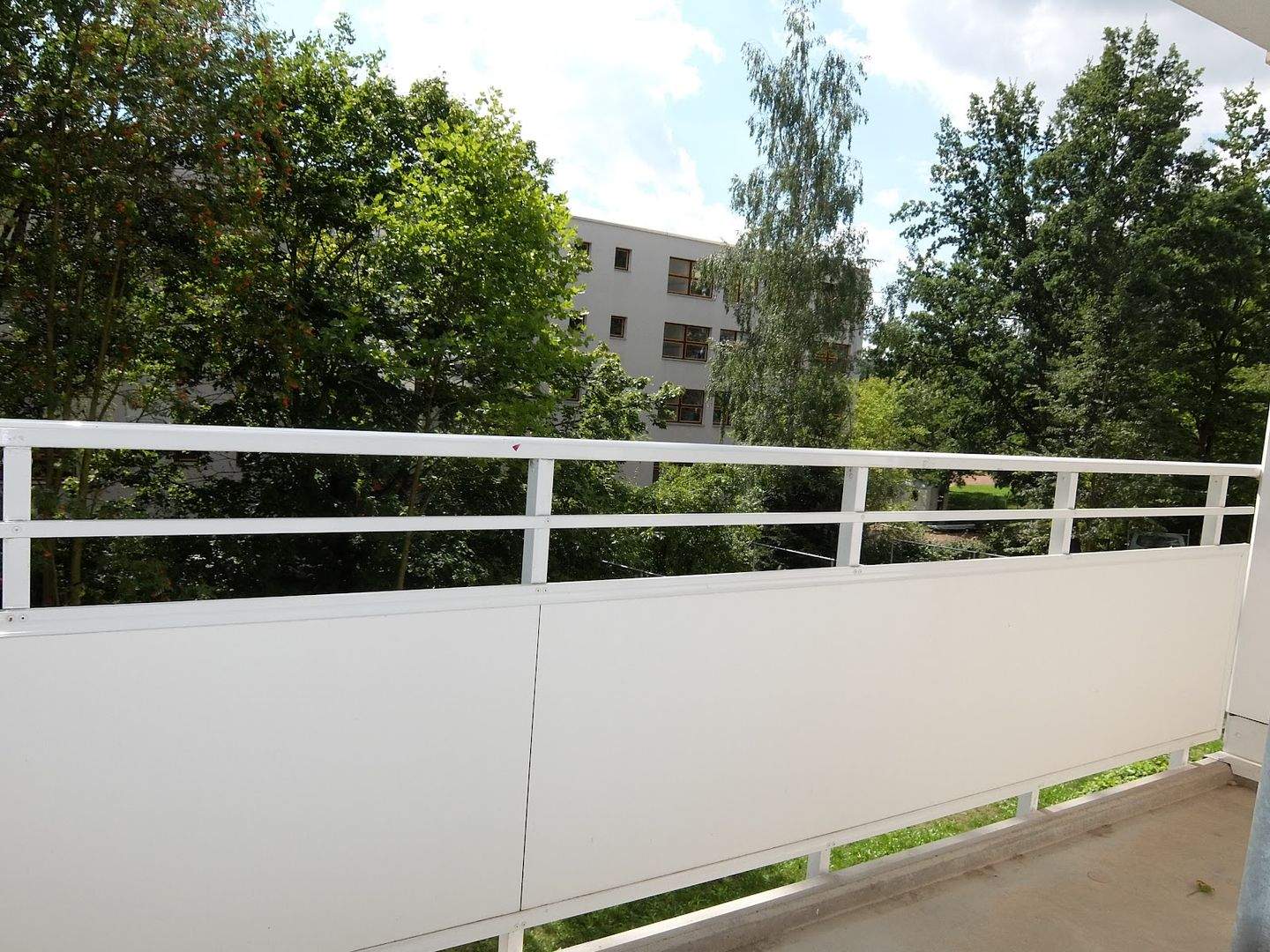 Bild 7