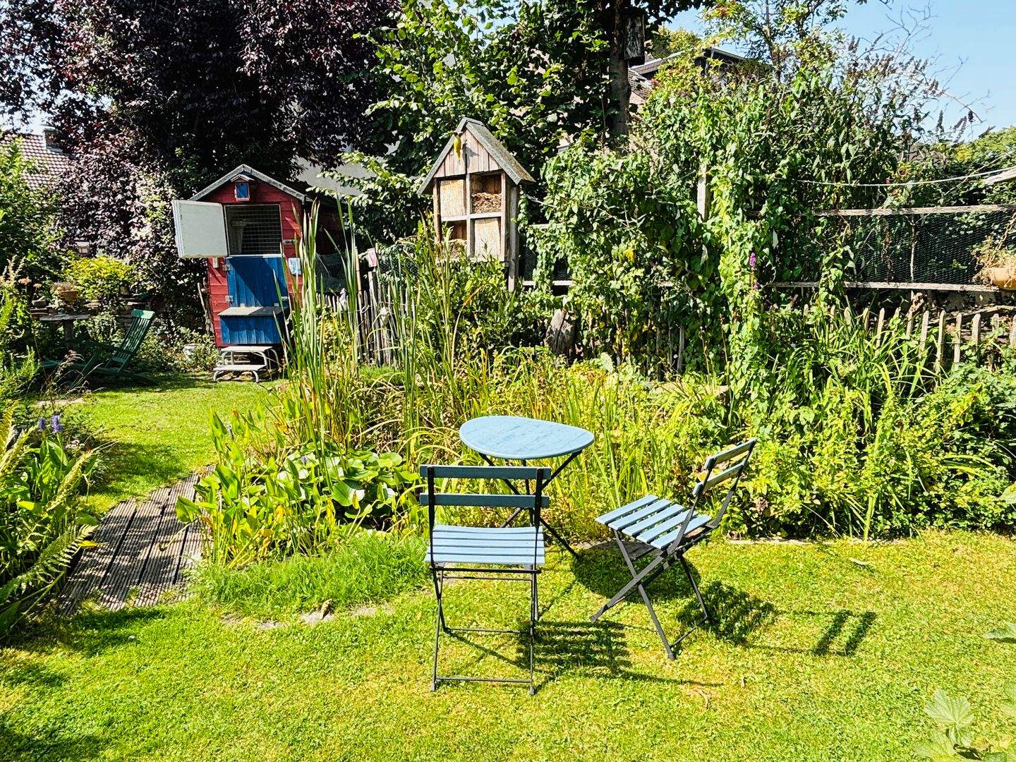 Bild 5