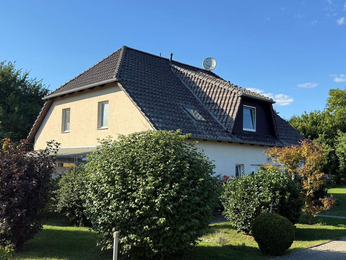Bild 5