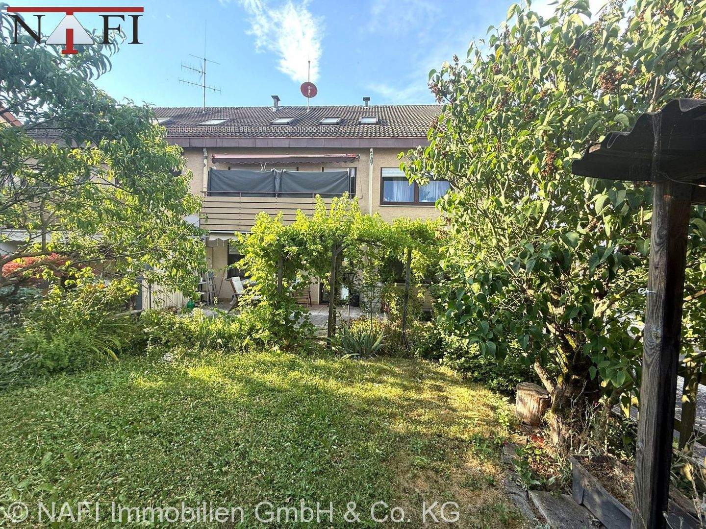 Bild 11