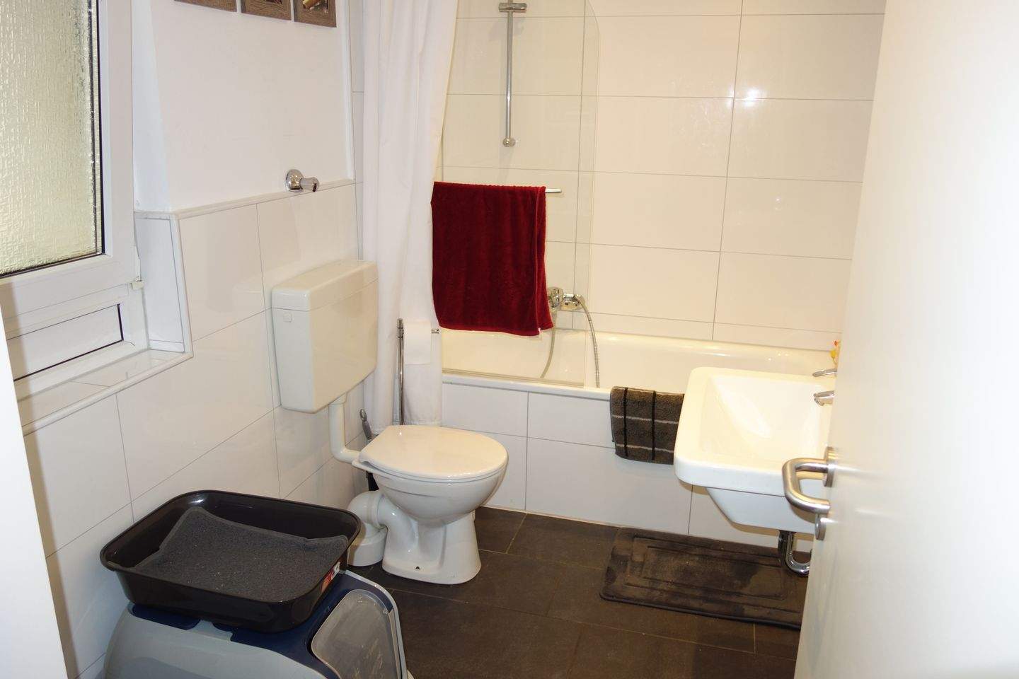 Bild 11