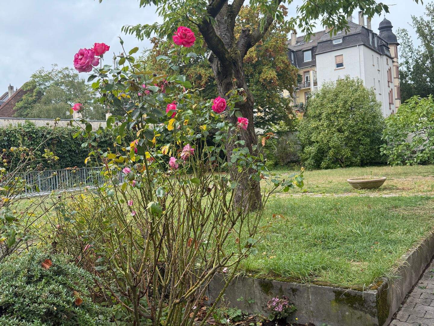 Bild 6