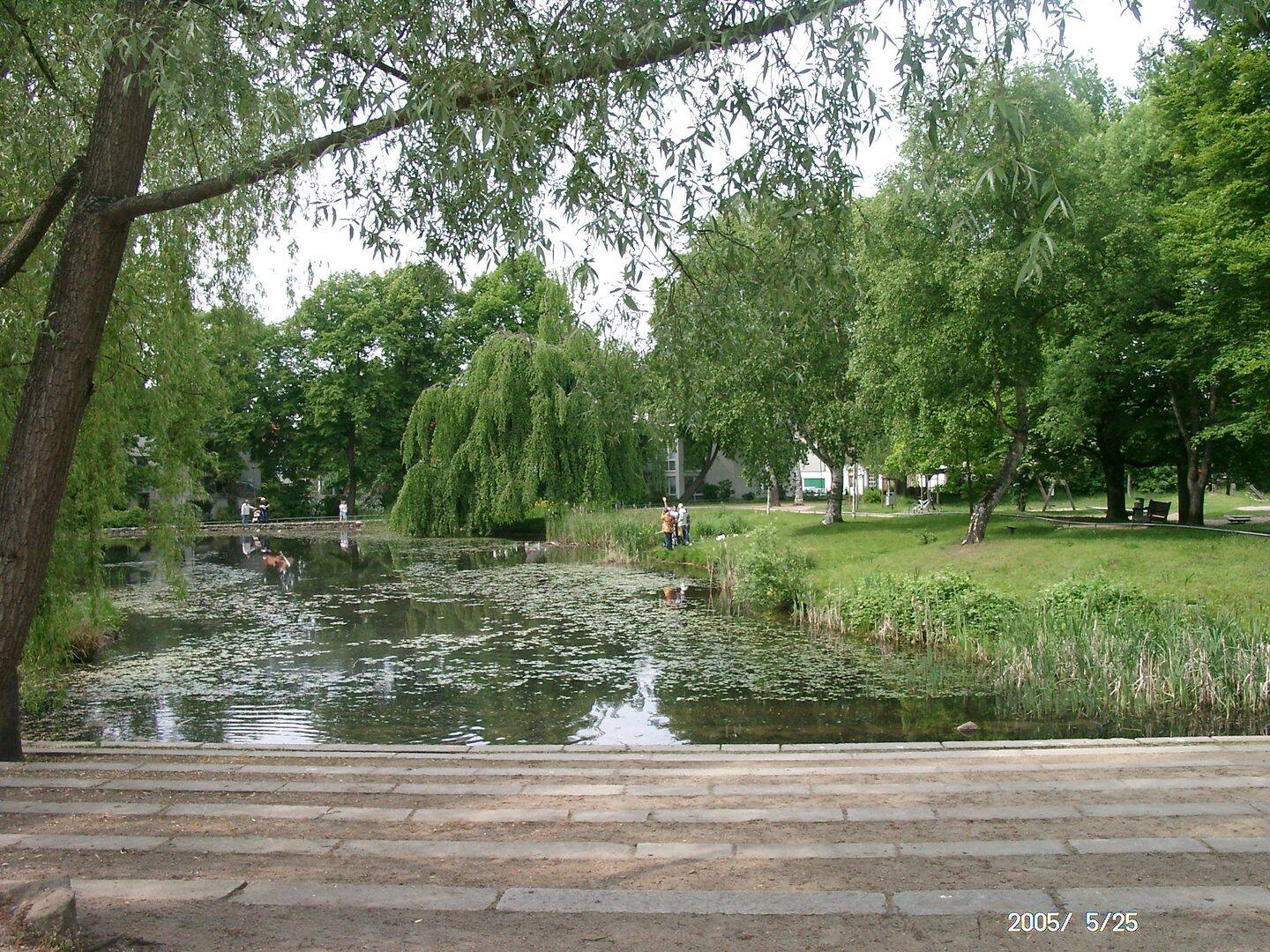 Bild 7