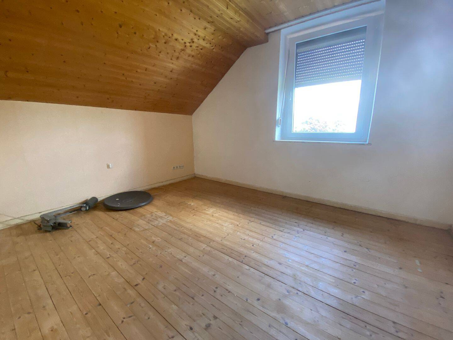 Bild 19