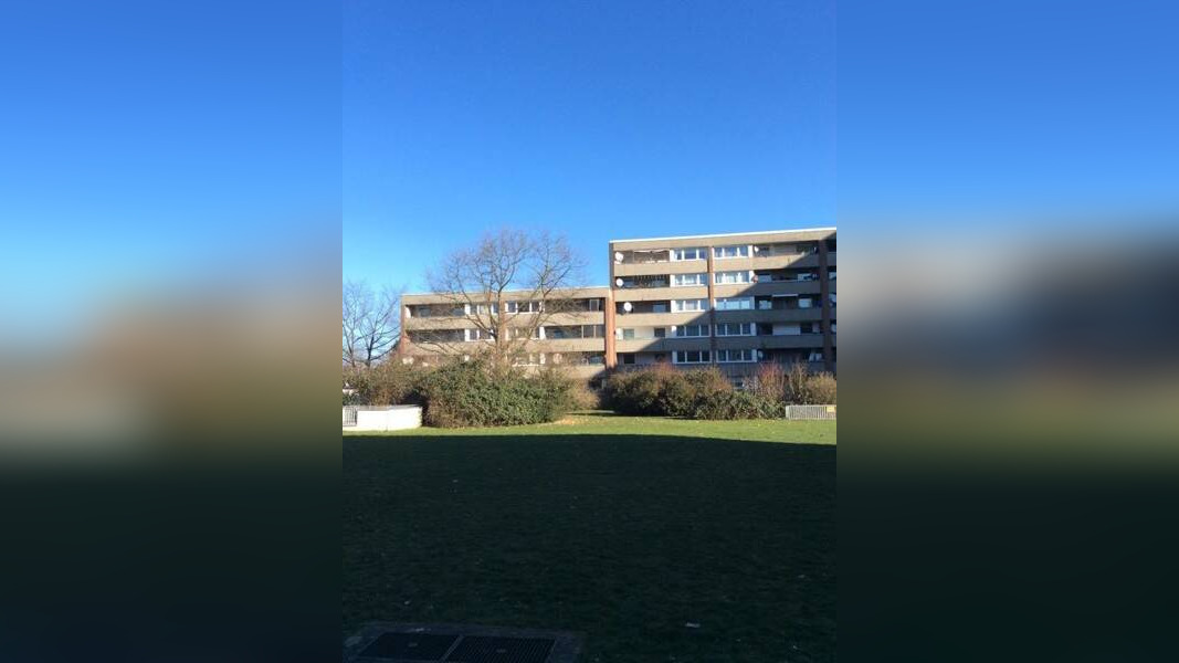 Bild 11