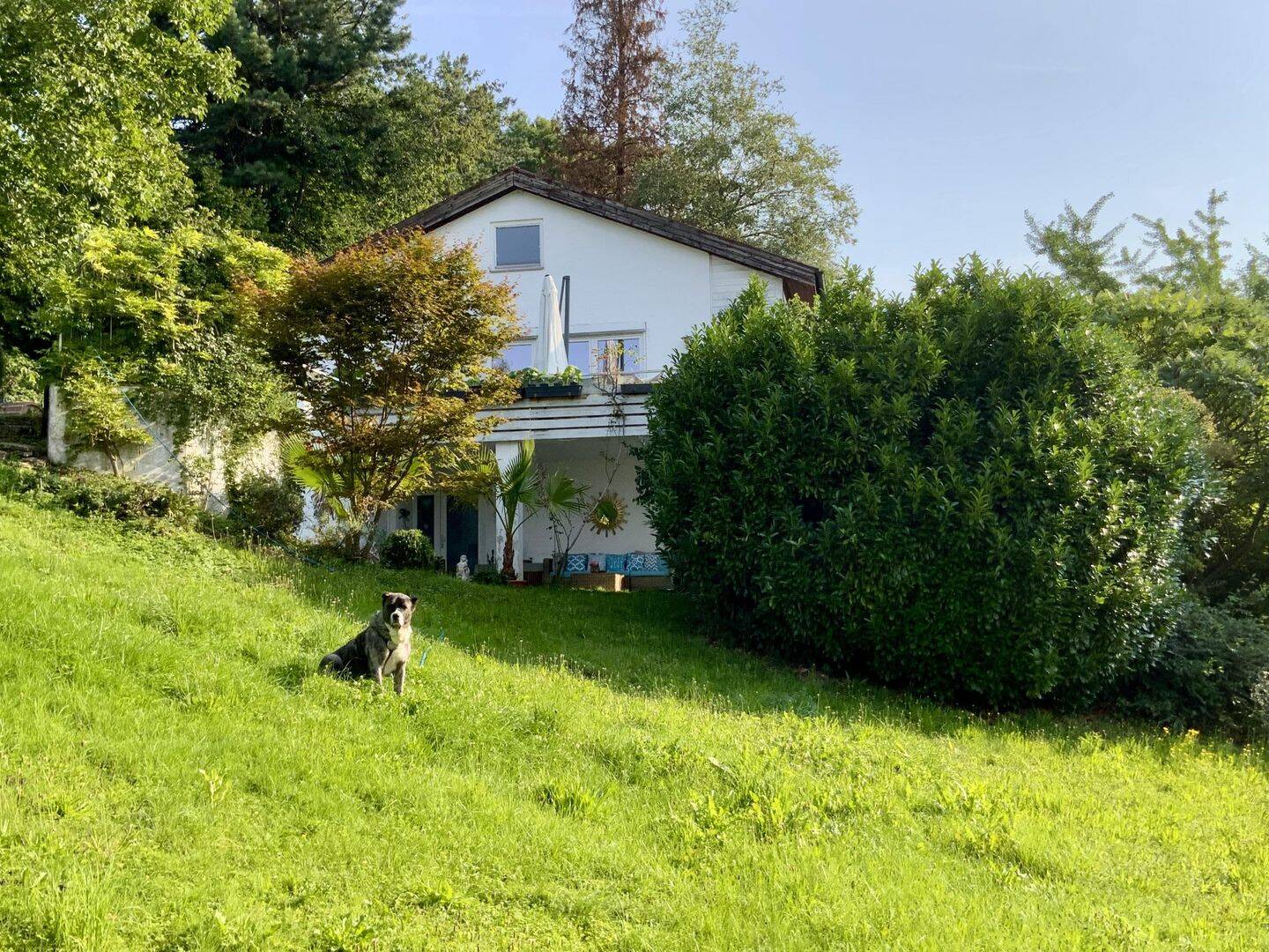 Bild 10