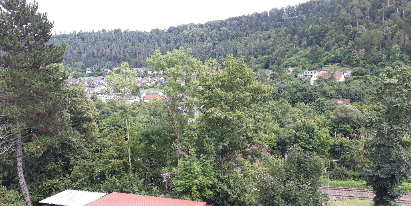 Bild 11