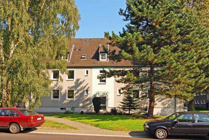 Bild 11