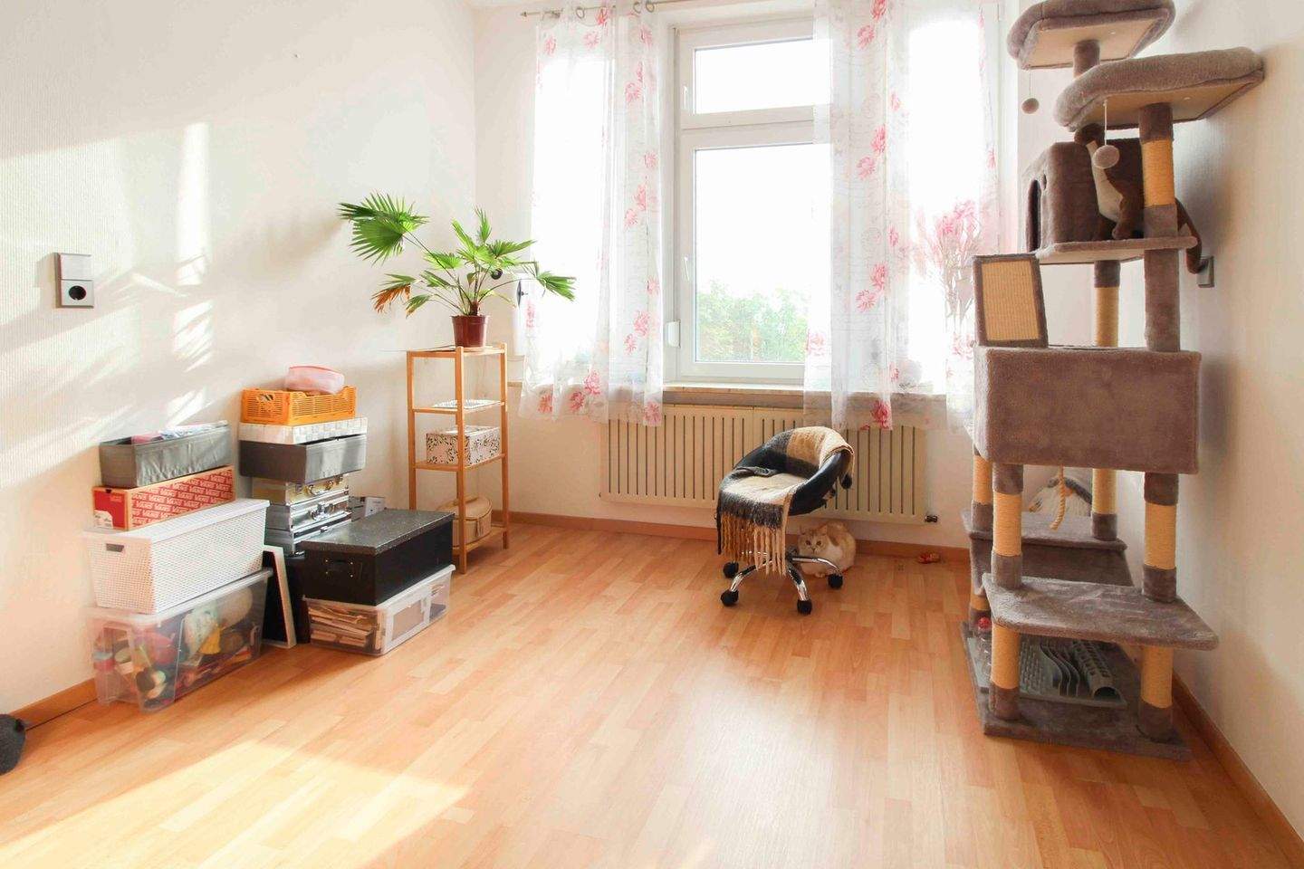 Bild 5
