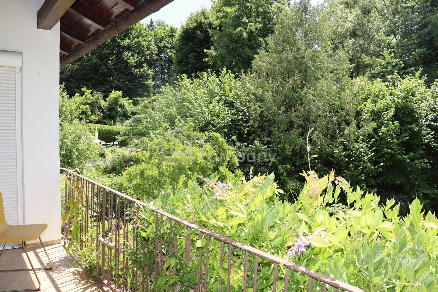 Bild 11