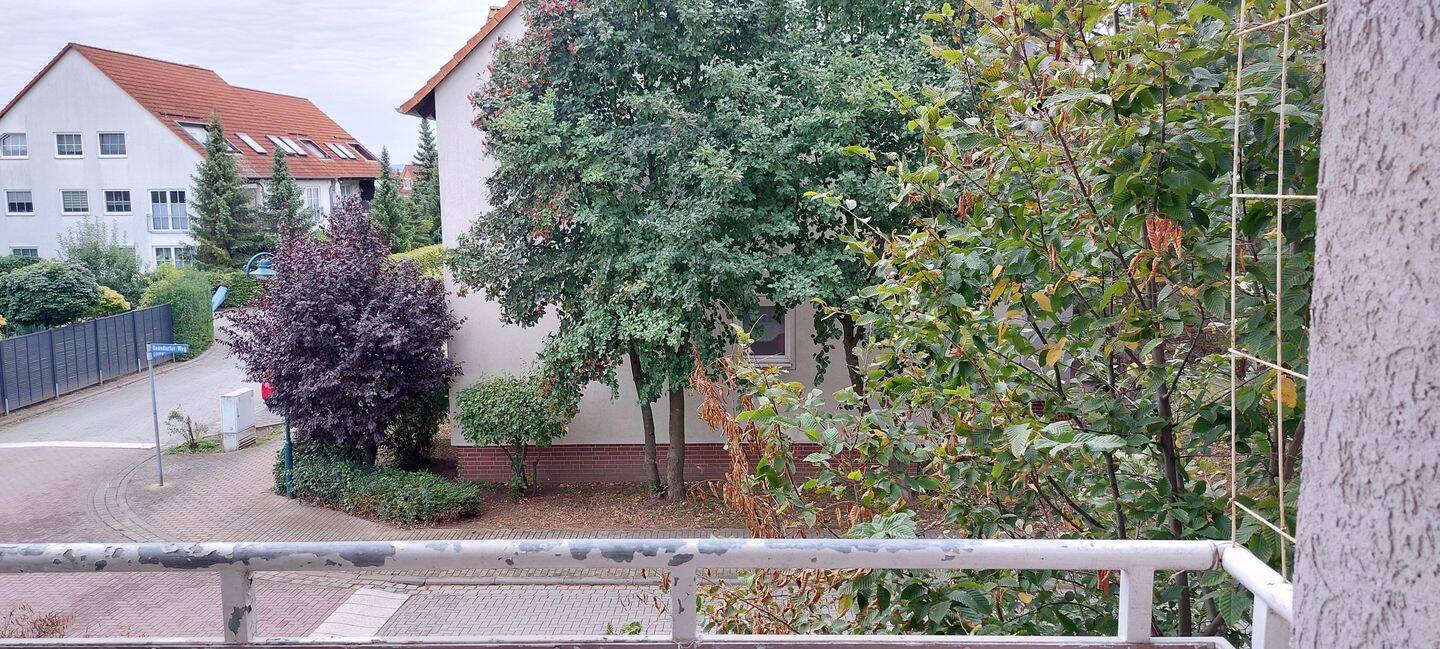 Bild 11