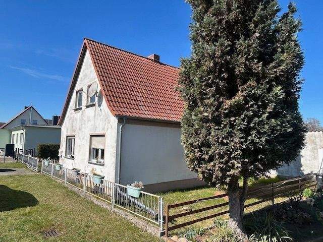 Bild 5