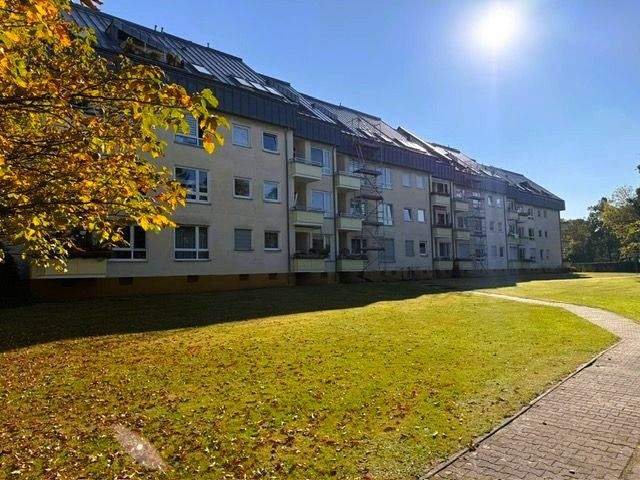 Bild 11