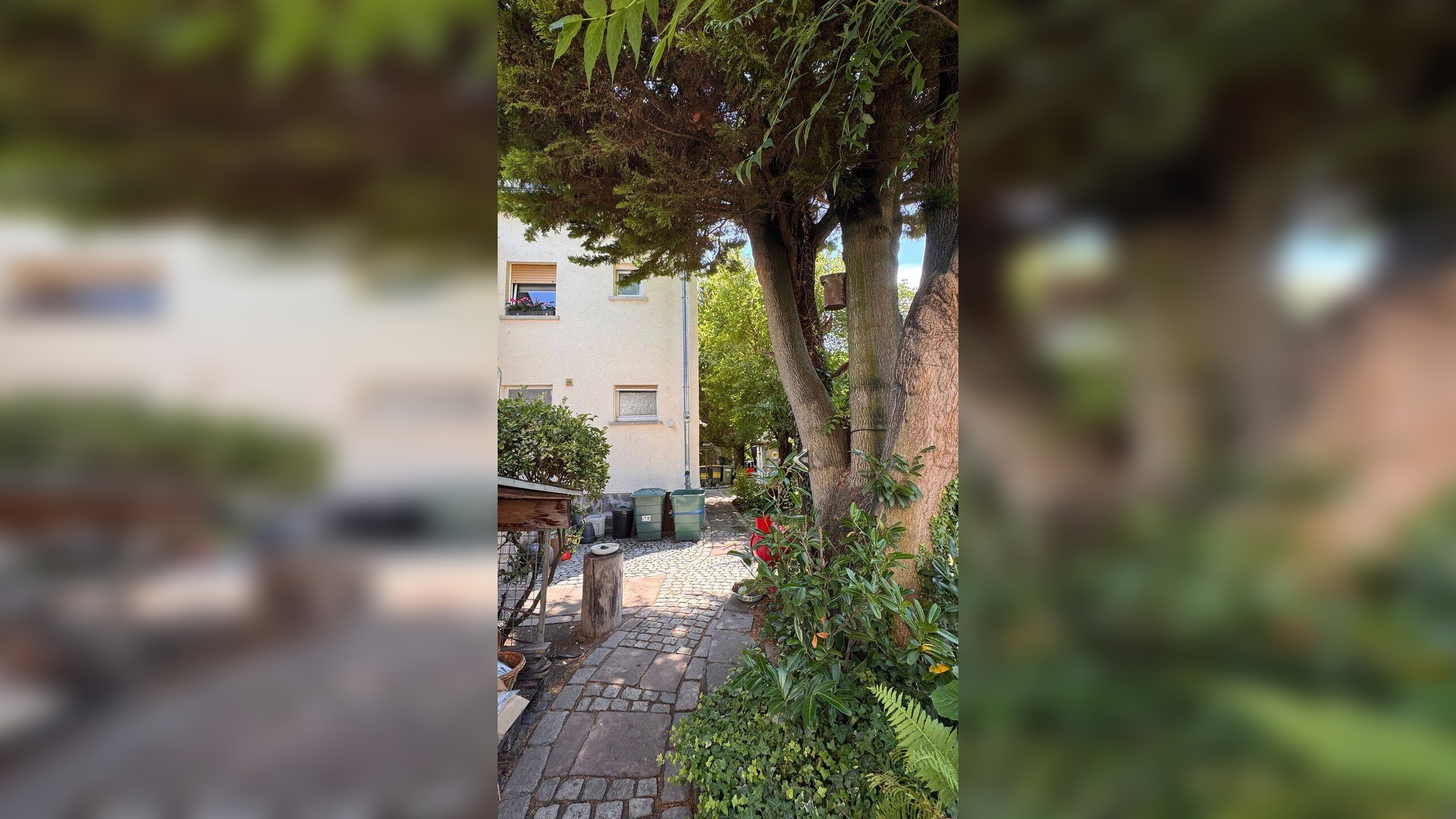 Bild 12