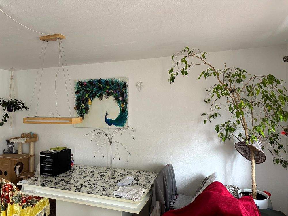 Bild 8