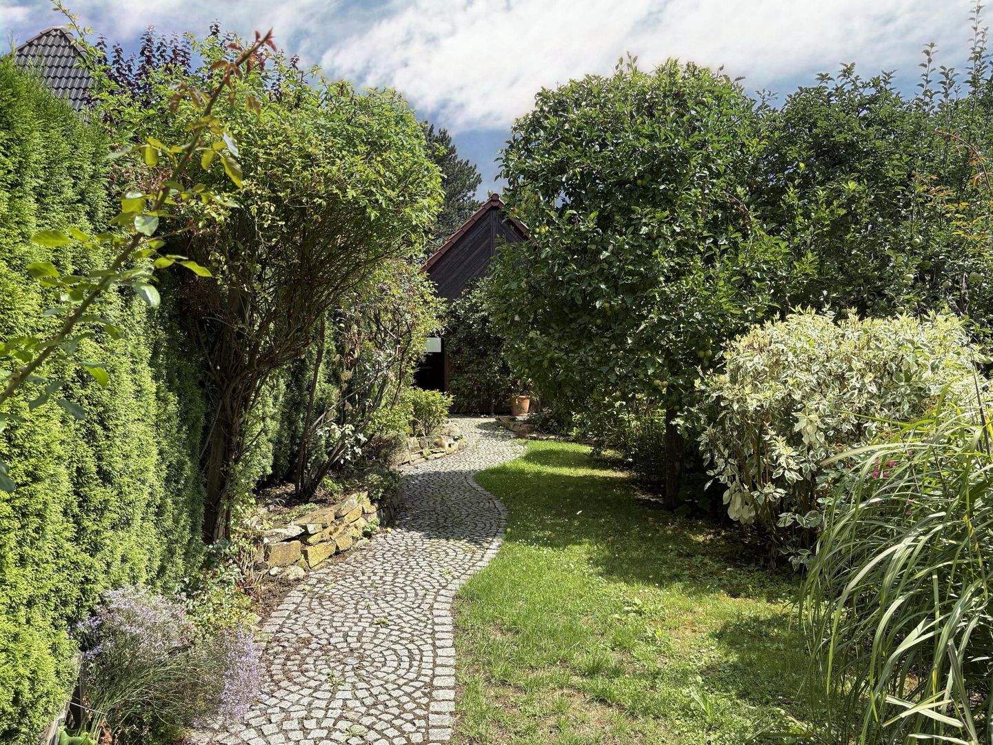 Bild 7