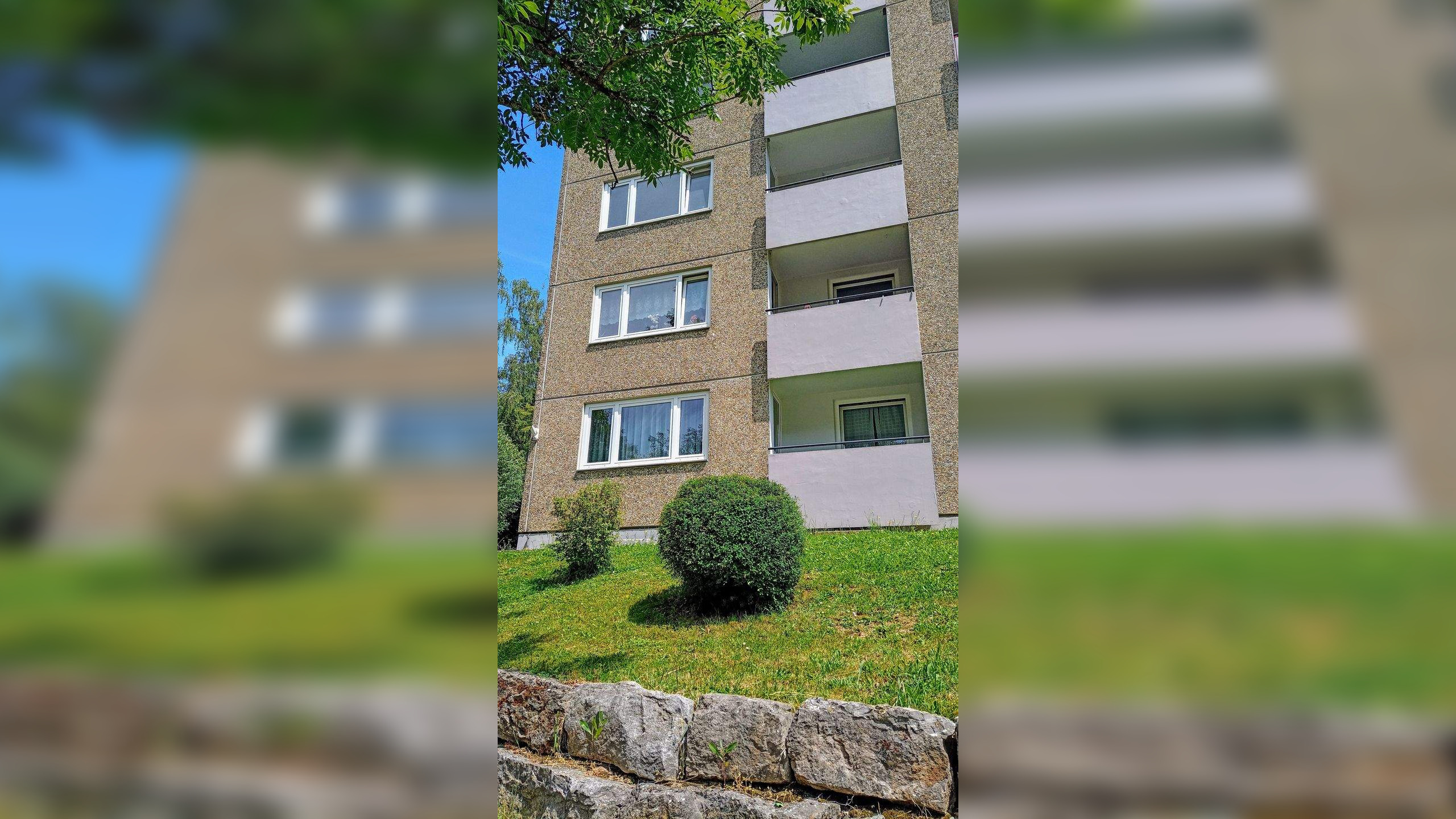 Bild 12