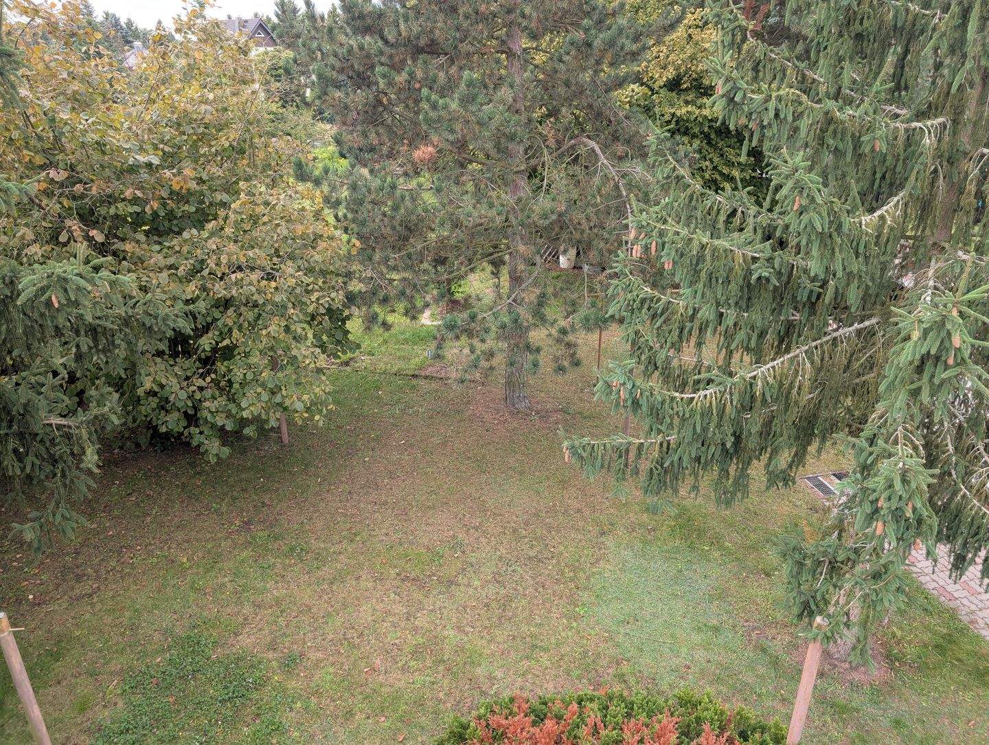Bild 5