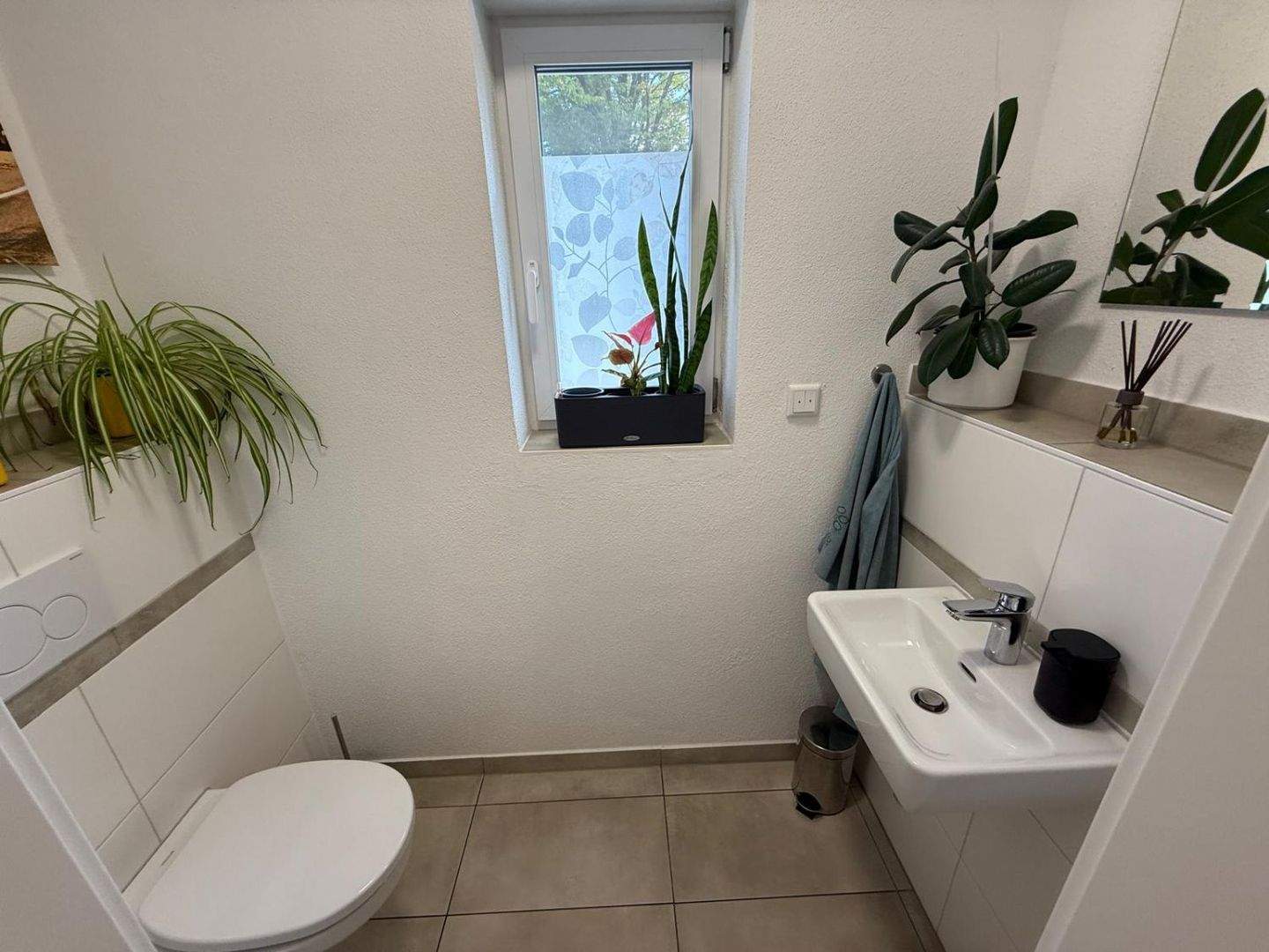 Bild 5