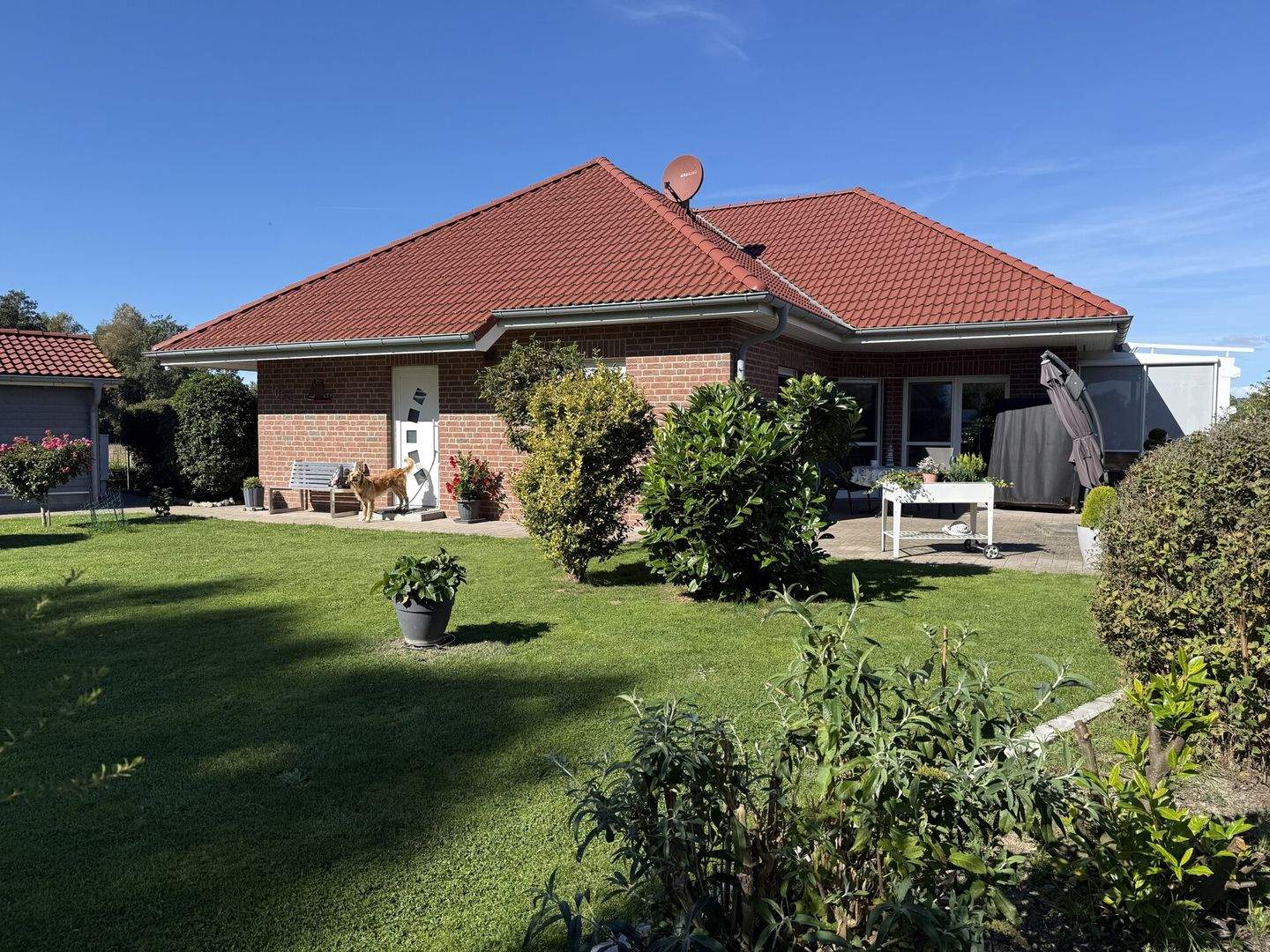 Bild 10