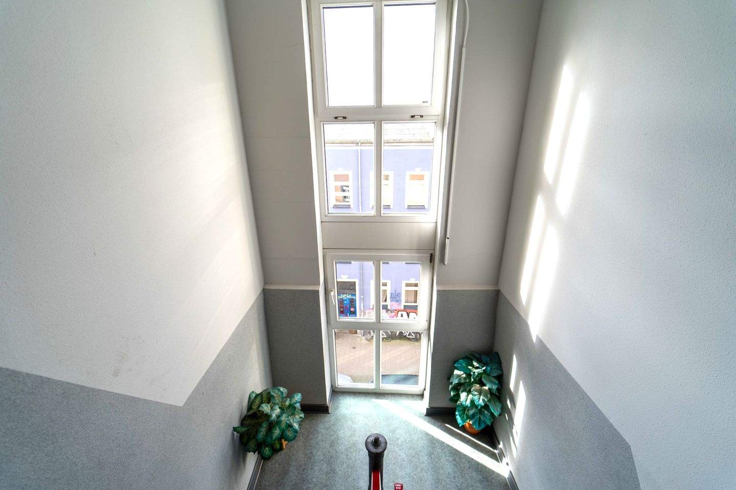 Bild 9