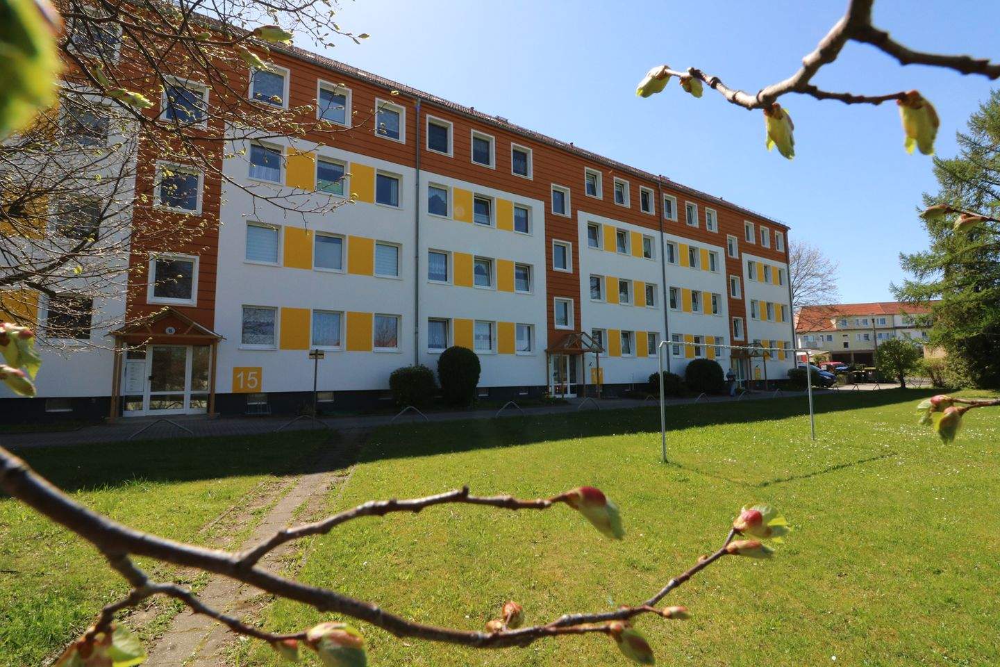 Bild 4