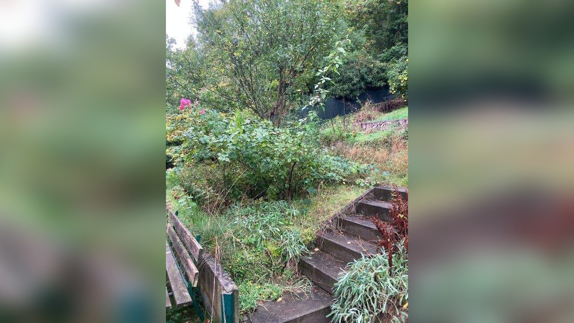 Bild 6