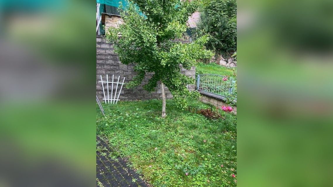 Bild 8