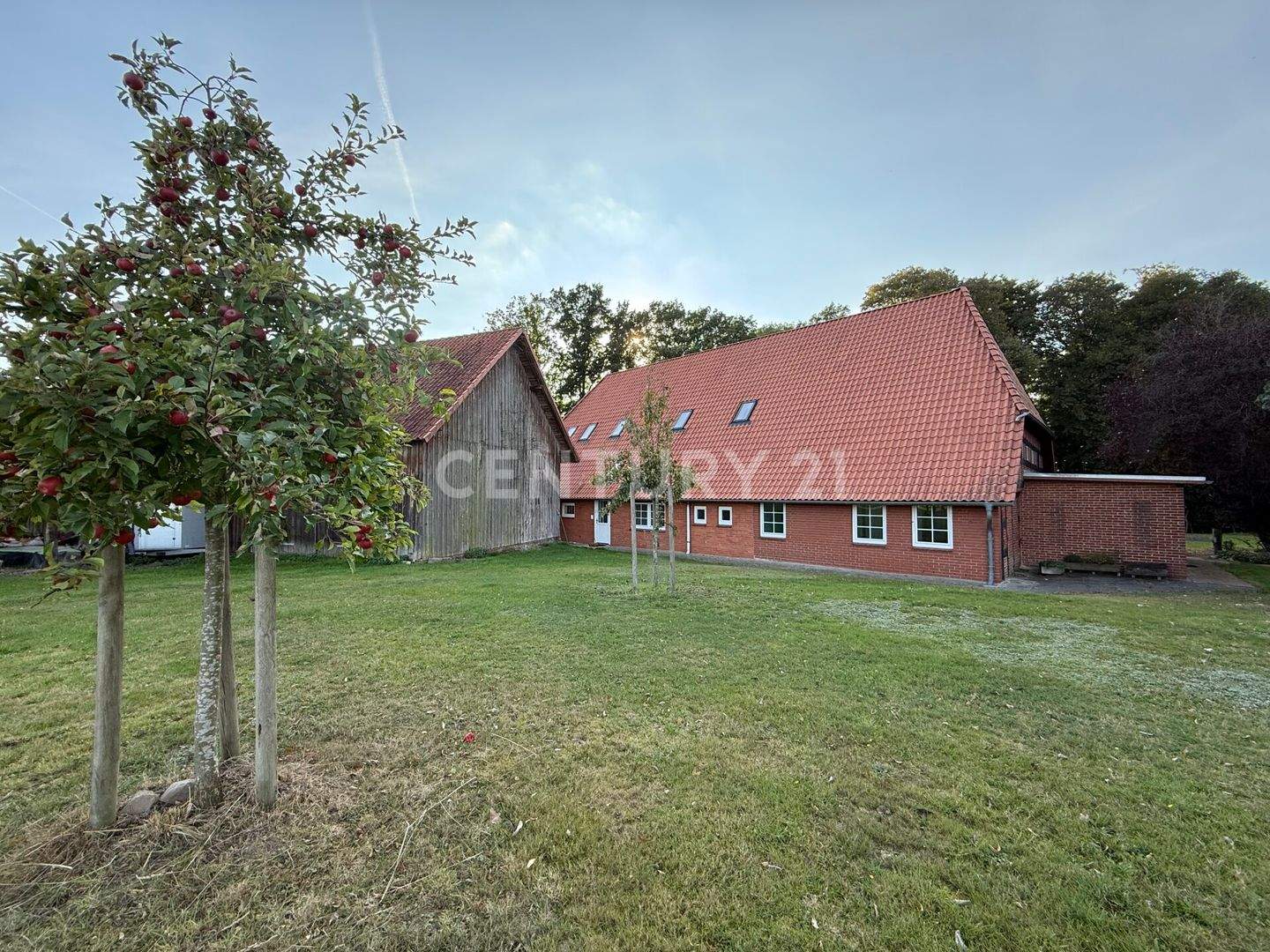 Bild 10