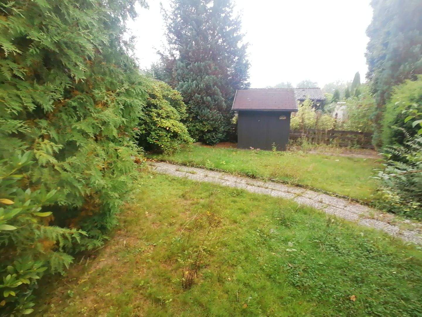 Bild 7