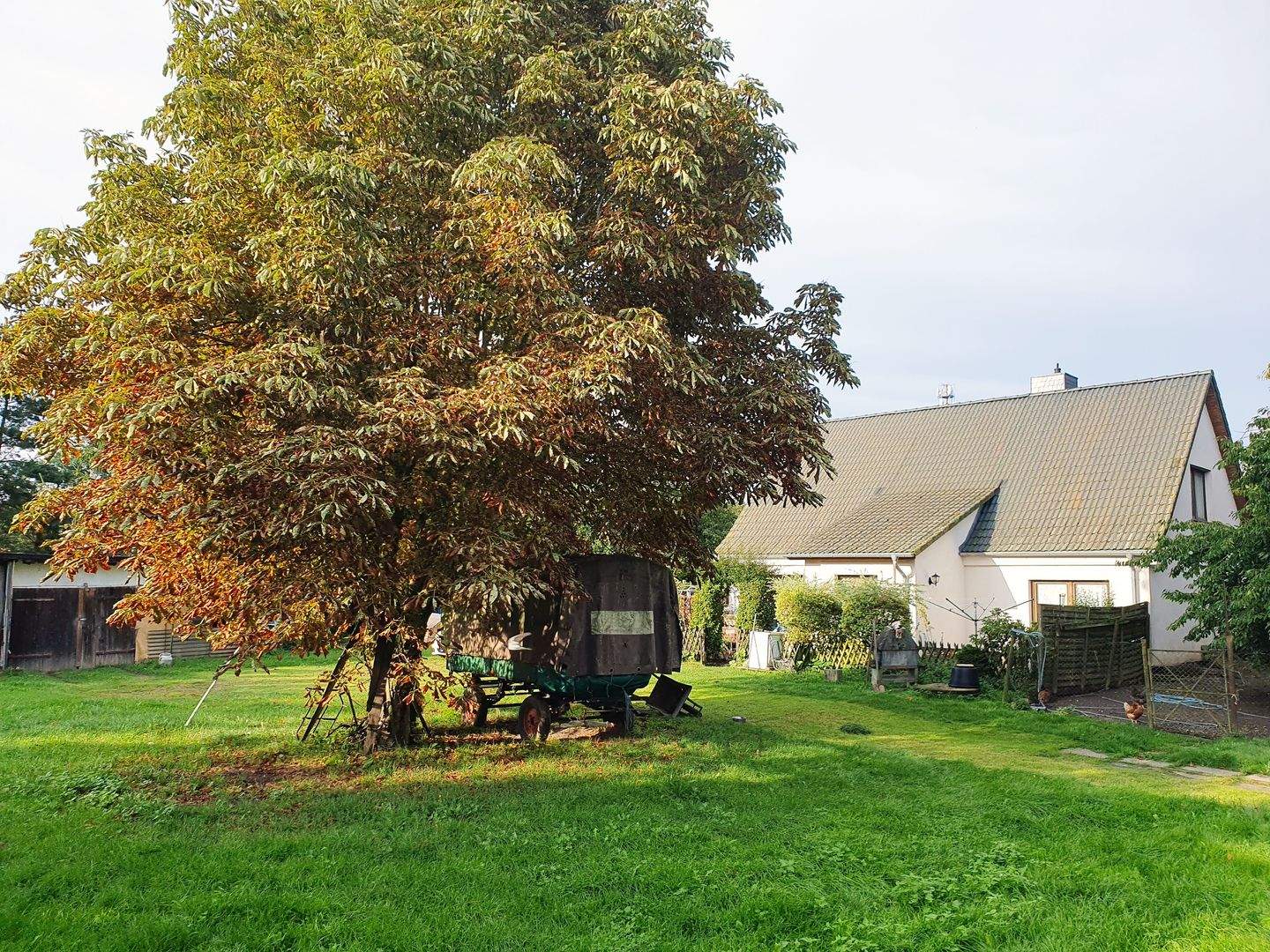 Bild 9