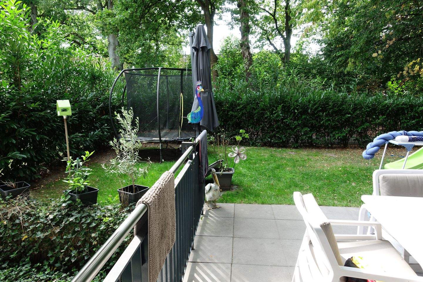 Bild 7