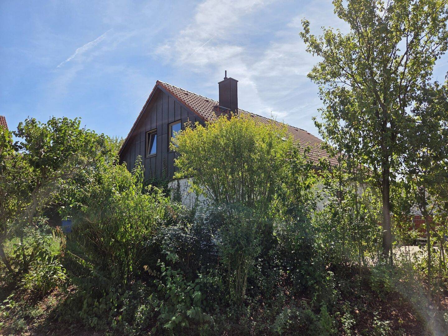 Bild 14