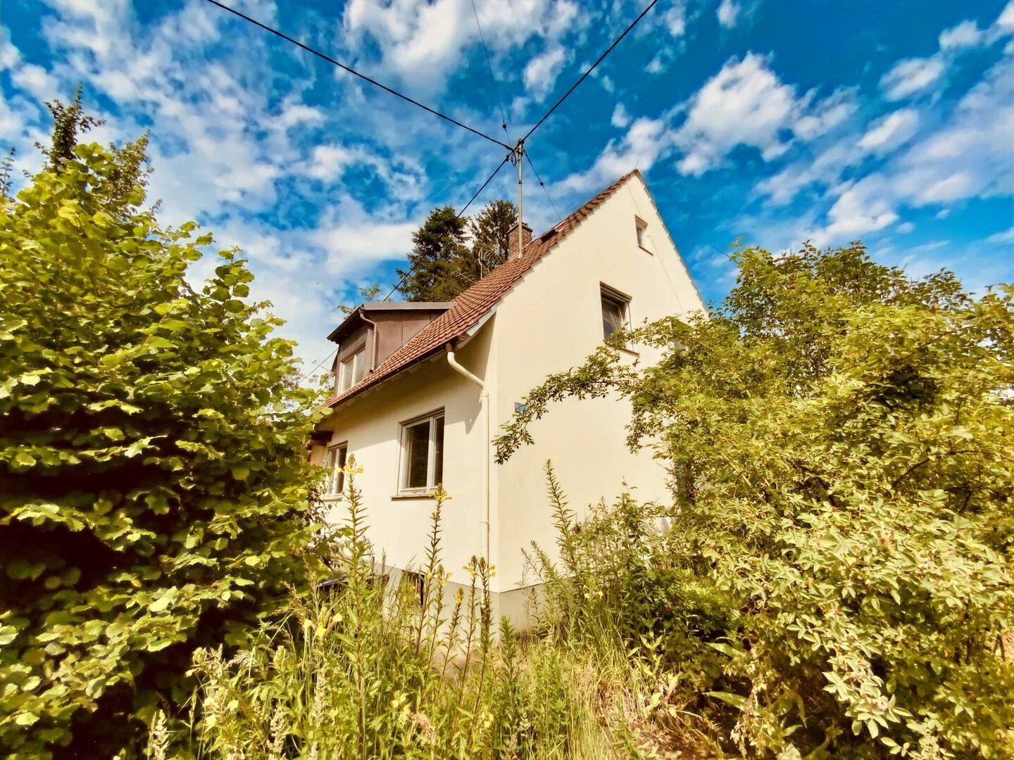 Bild 12