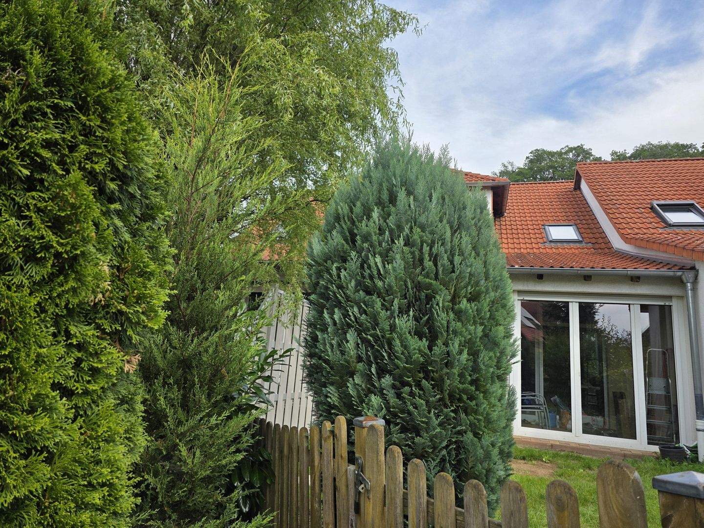 Bild 5