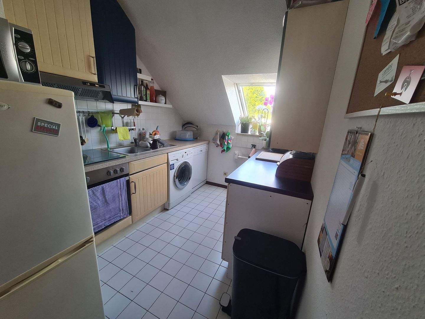 Bild 5