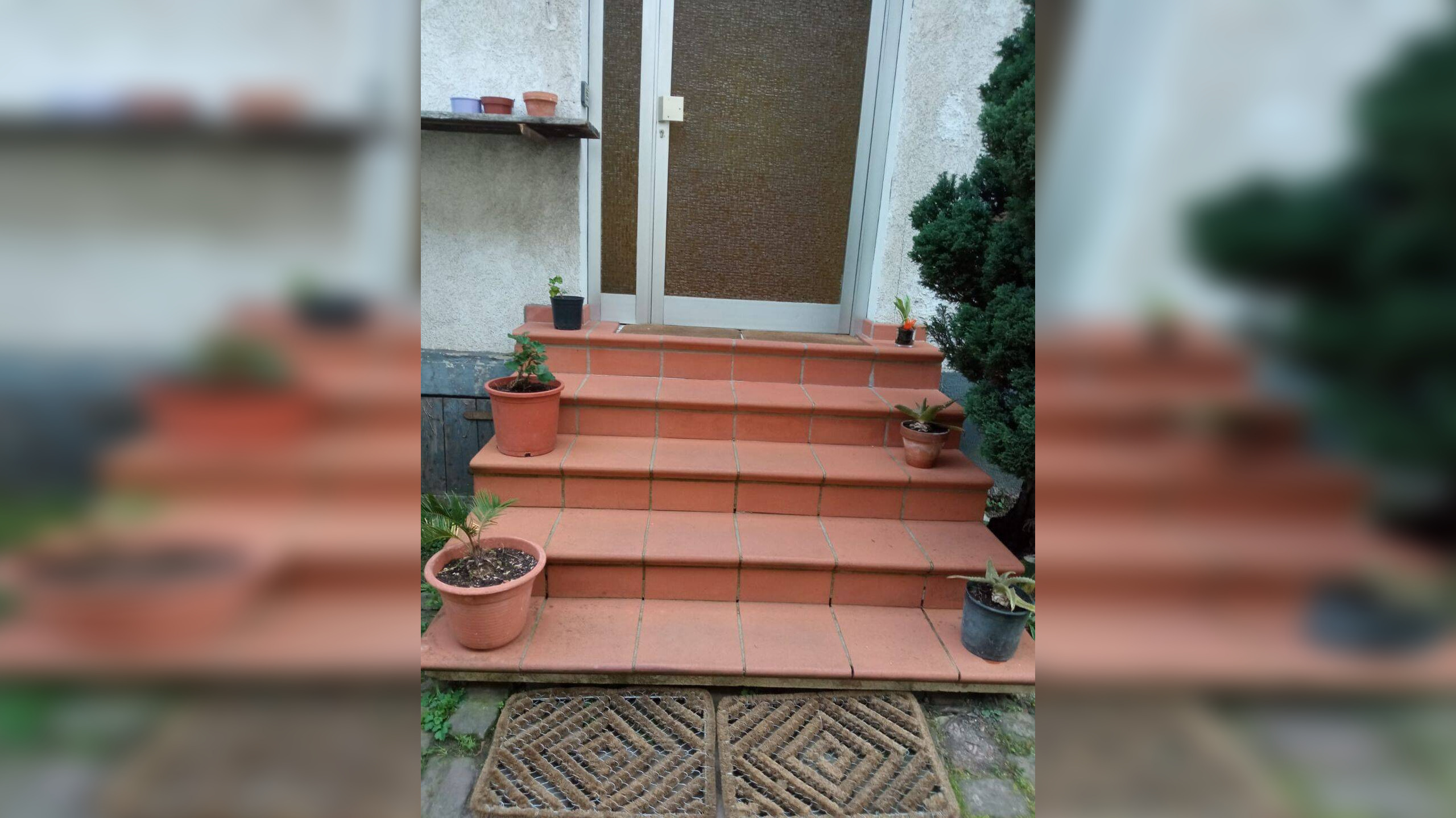 Bild 6