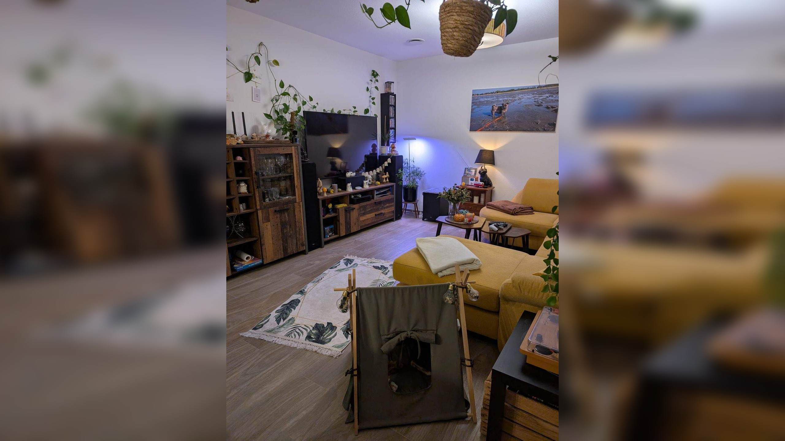 Bild 6