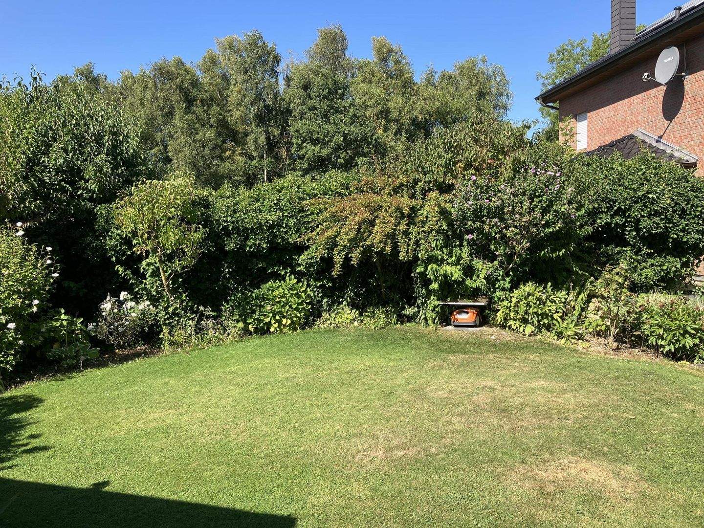 Bild 6