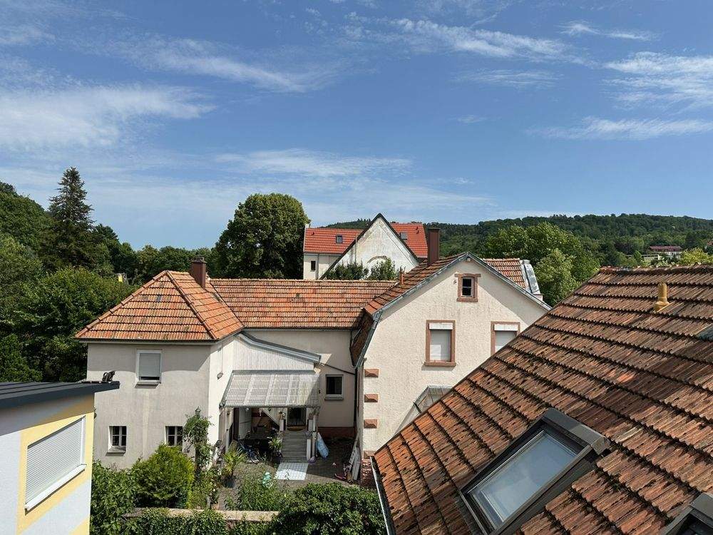 Bild 7