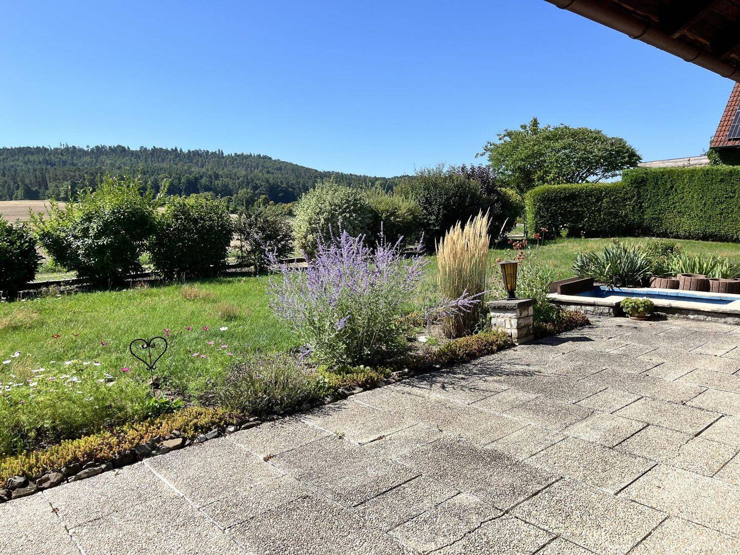 Bild 15