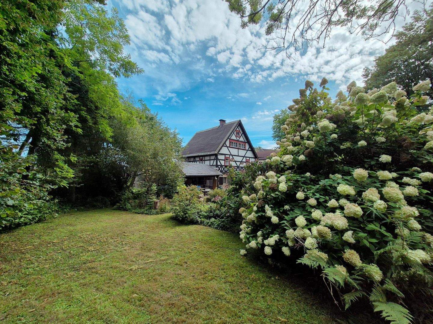 Bild 8