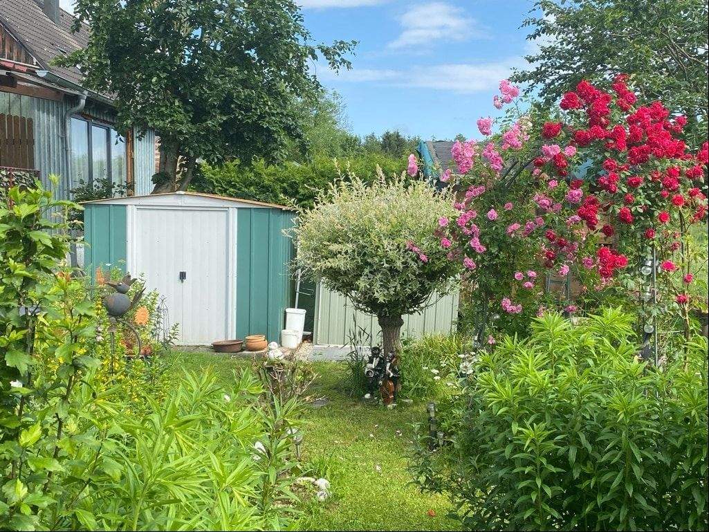 Bild 5