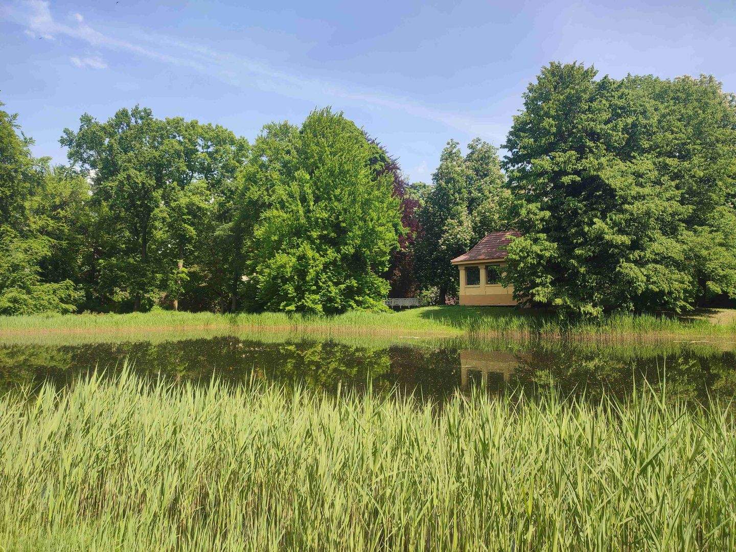 Bild 11