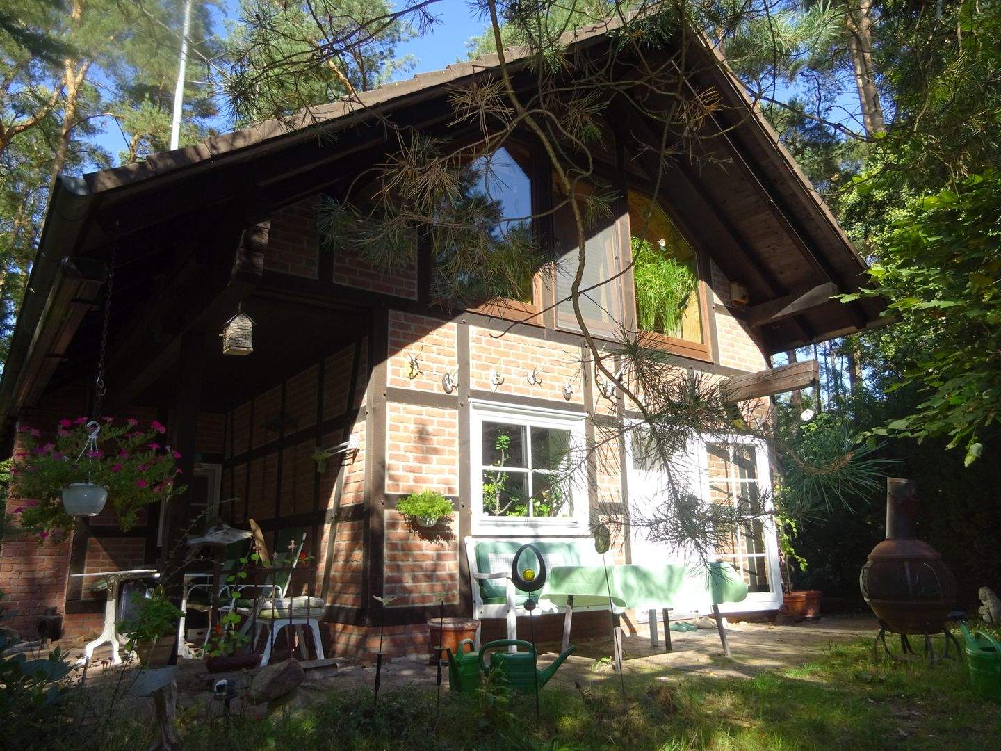 Bild 5