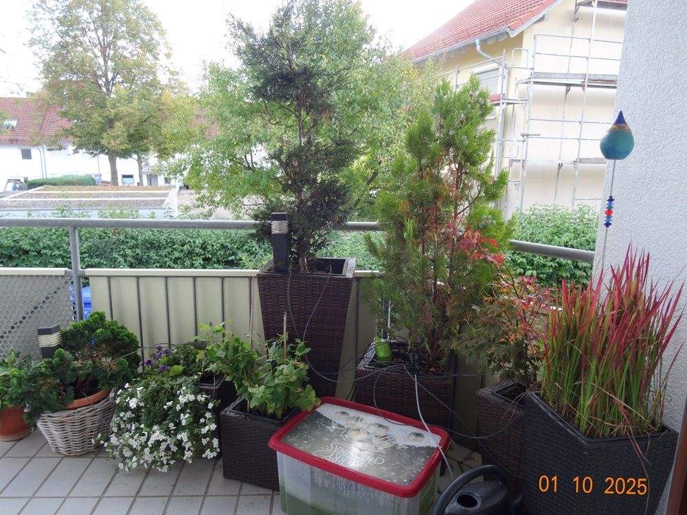 Bild 7
