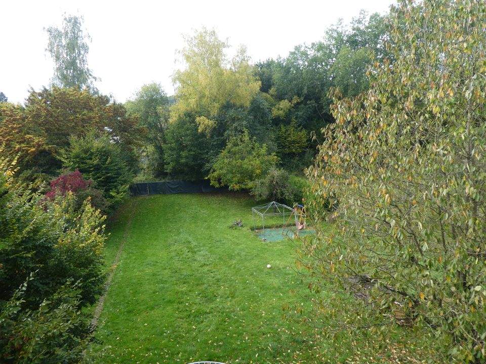 Bild 7