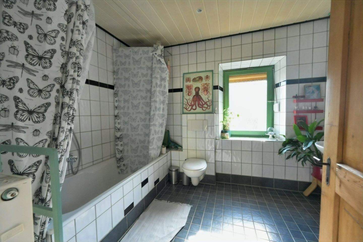Bild 11